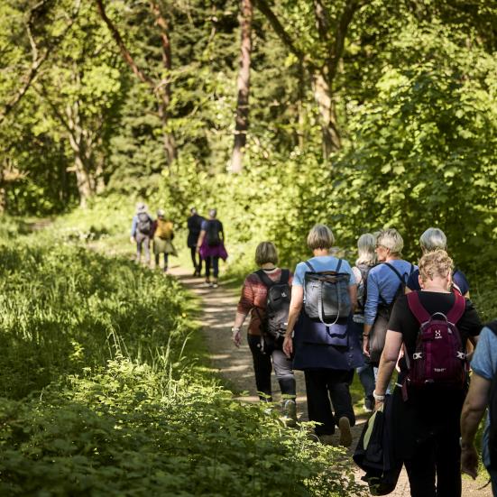 Mennesker på gåtur i skoven
