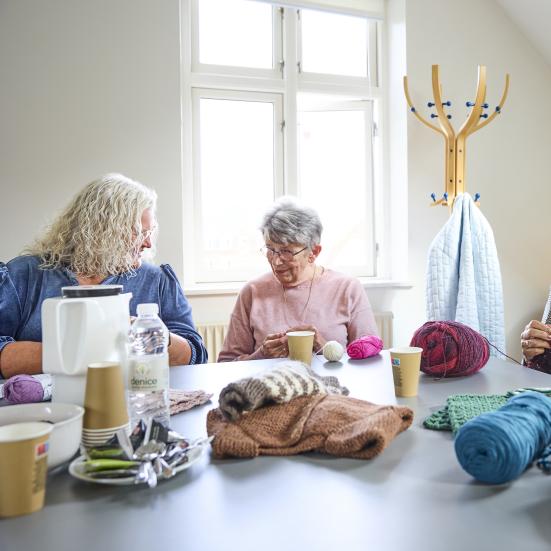 25_Dronningborg strik