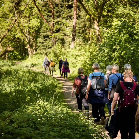 Mennesker går i naturen