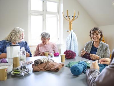 25_Dronningborg strik