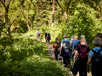 Mennesker går i naturen