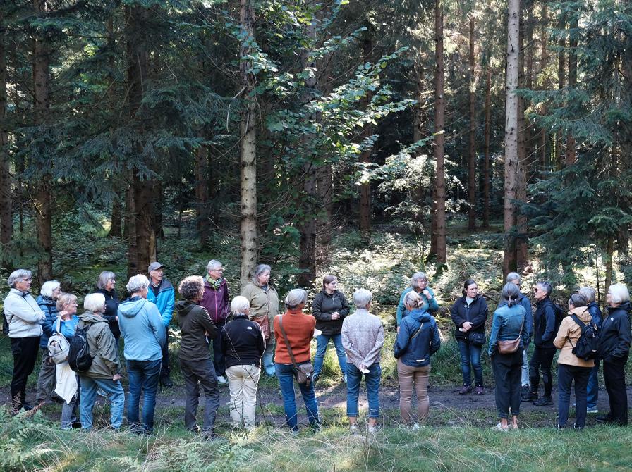 Stor forsamling til oplæsning i skov