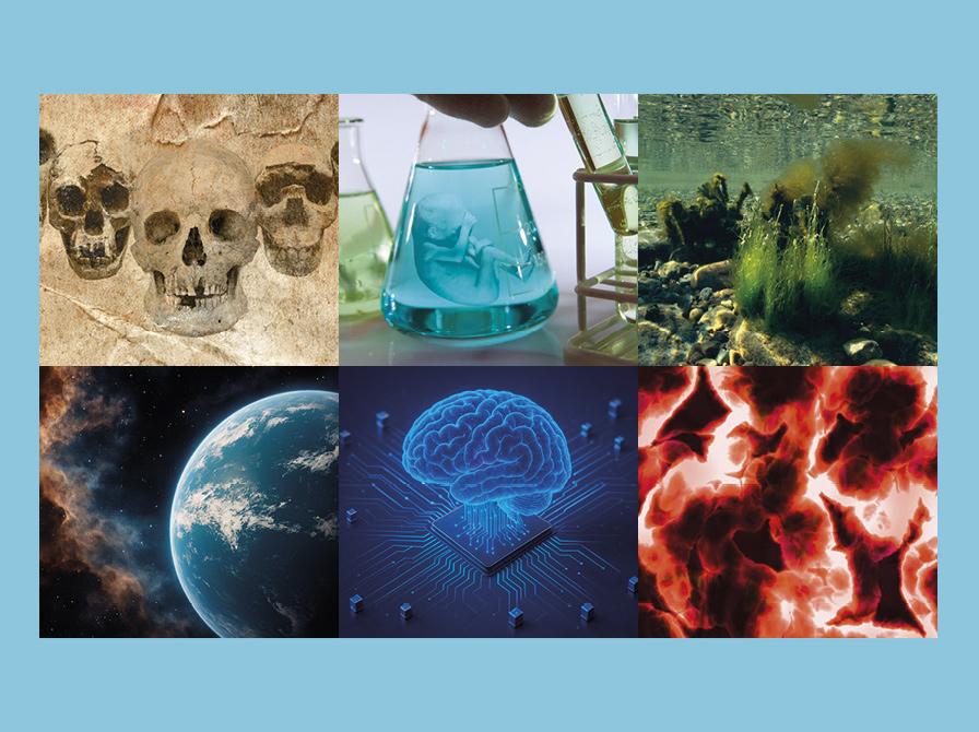 Livestreamingforsider fra events