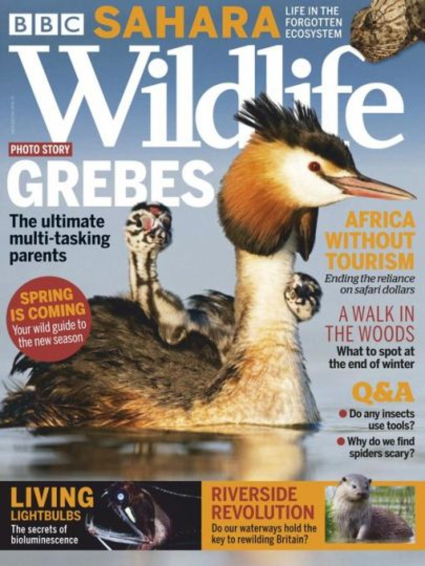 : Bbc wildlife magazine