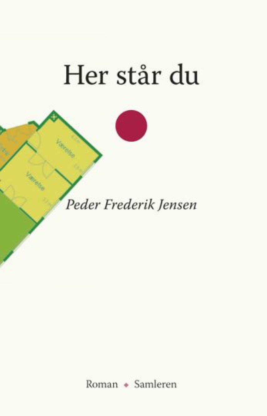 Peder Frederik Jensen: Her står du : roman