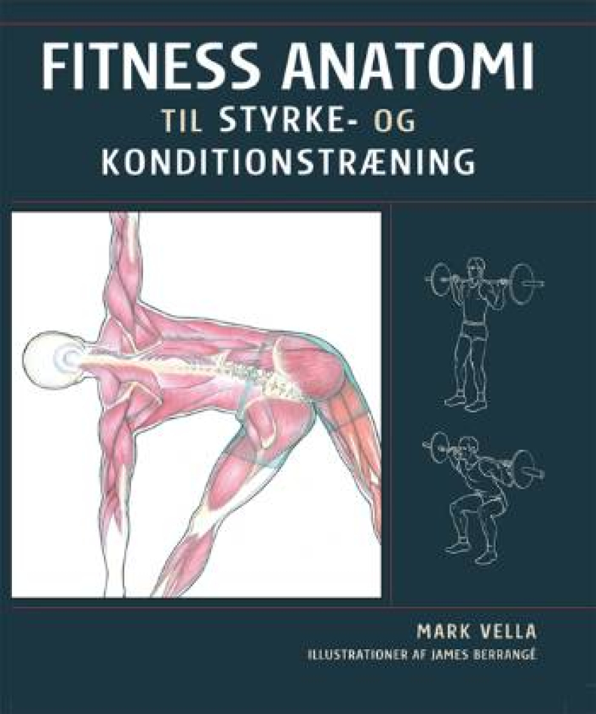 : Fitness anatomi til styrke- og konditionstræning