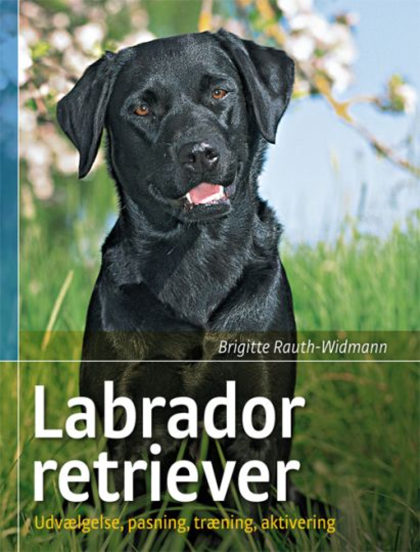 Brigitte Rauth-Widmann: Labrador retriever : udvælgelse, pasning, træning og aktivering