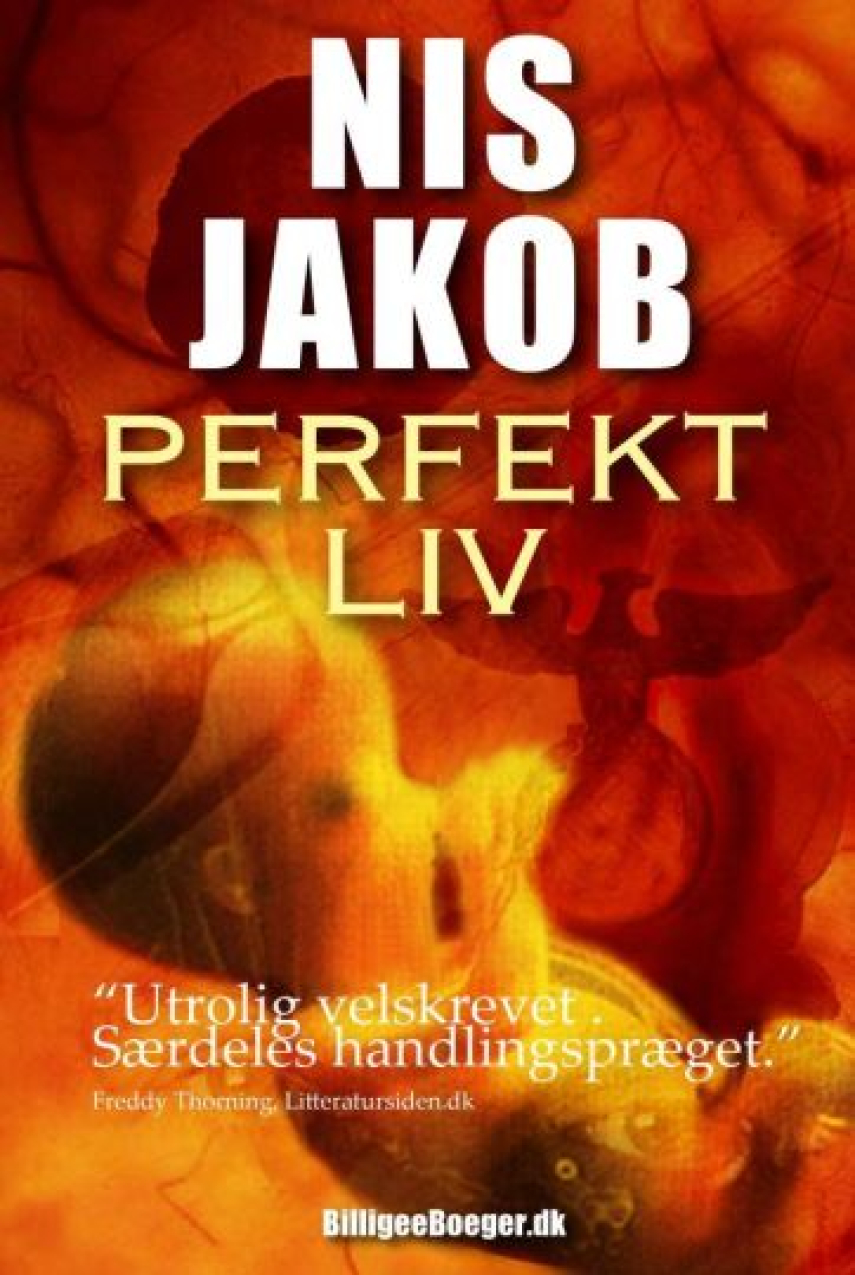 Nis Jakob: Perfekt liv : roman