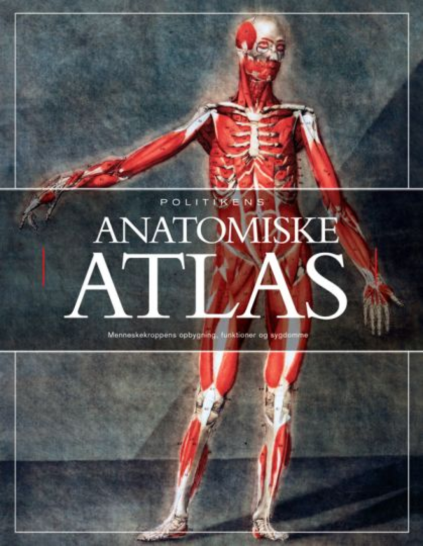 Tony Smith (f. 1934): Politikens anatomiske atlas : menneskekroppens opbygning, funktioner og sygdomme