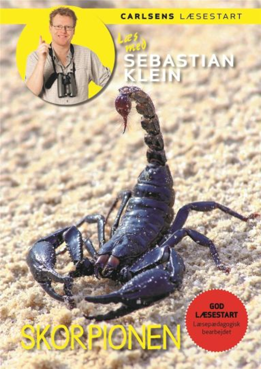 Sebastian Klein: Skorpionen
