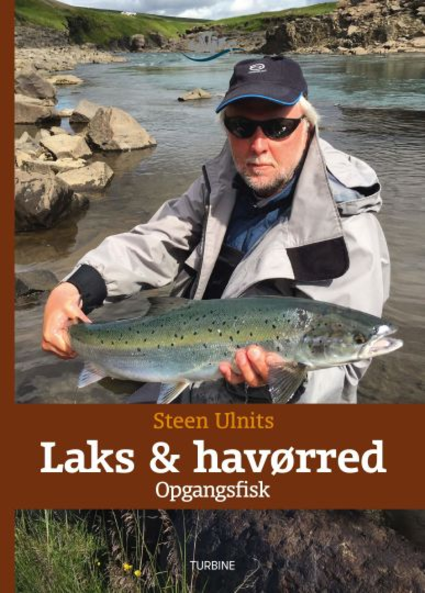 Steen Ulnits: Laks & havørred : opgangsfisk