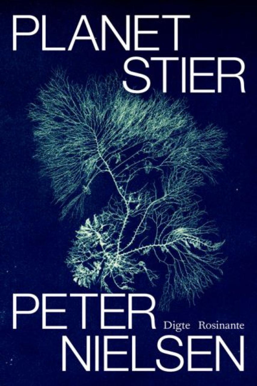 Peter Nielsen (f. 1948): Planetstier : digte
