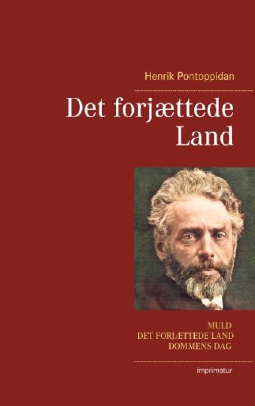 Henrik Pontoppidan: Det forjættede land
