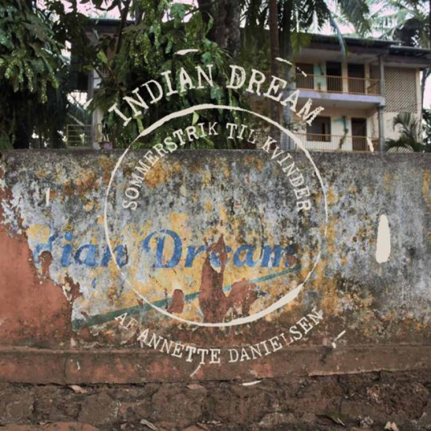 Annette Danielsen: Indian dream : sommerstrik til kvinder