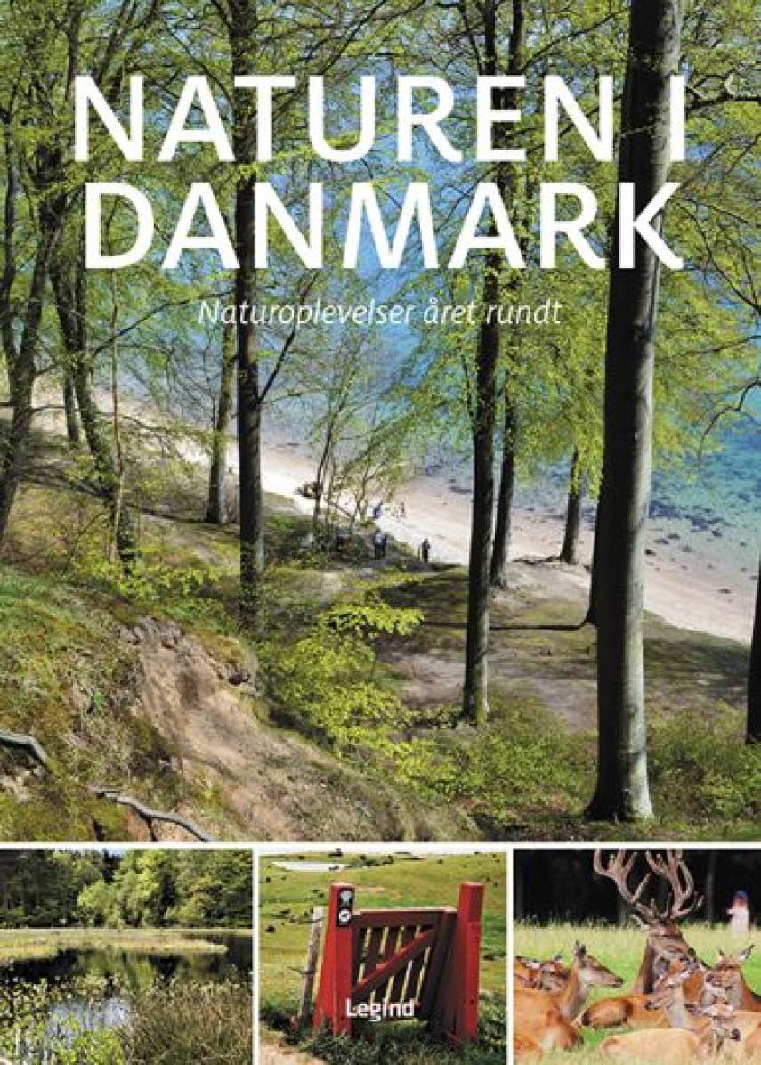 Søren Olsen (f. 1954-12-14): Naturen i Danmark : naturoplevelser året rundt