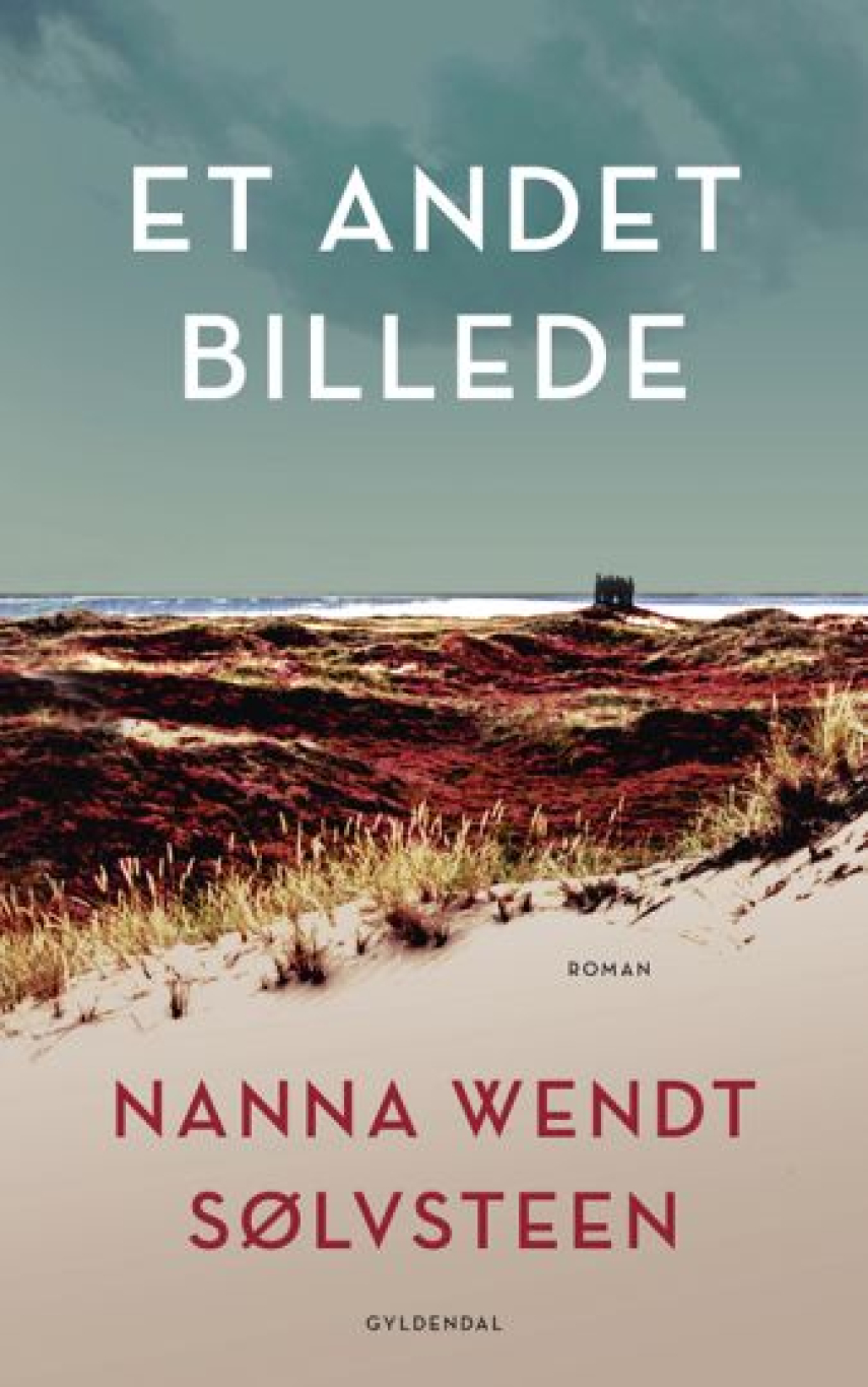 Nanna Wendt Sølvsteen: Et andet billede : roman