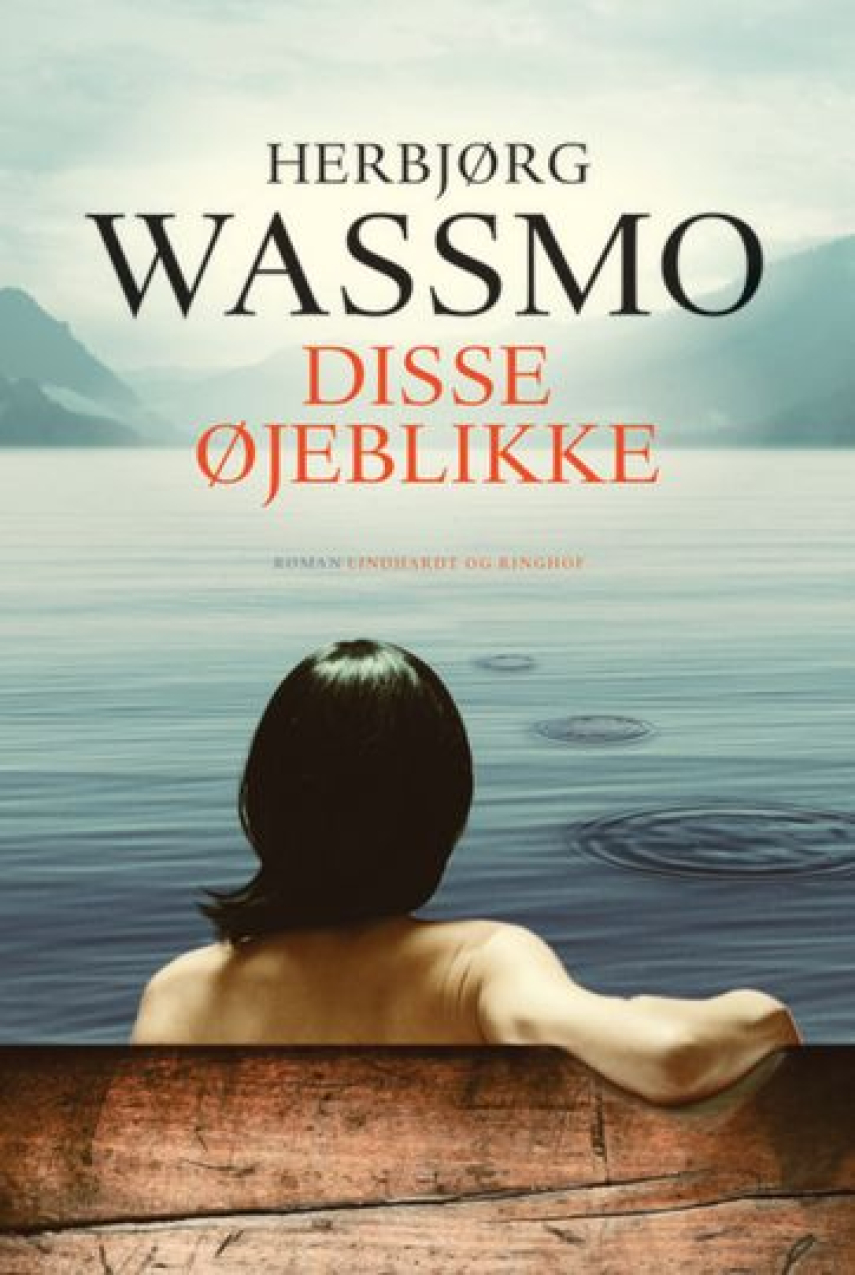 Herbjørg Wassmo: Disse øjeblikke : roman