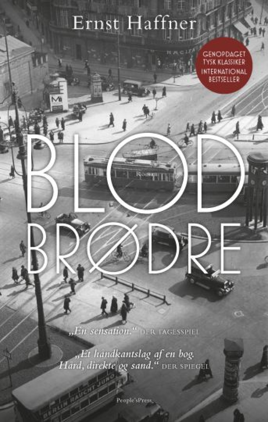Ernst Haffner: Blodbrødre : roman