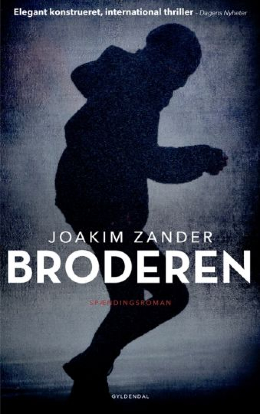 Joakim Zander: Broderen : spændingroman