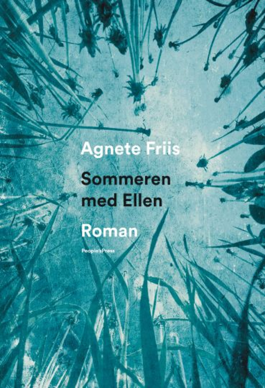 Agnete Friis: Sommeren med Ellen : roman